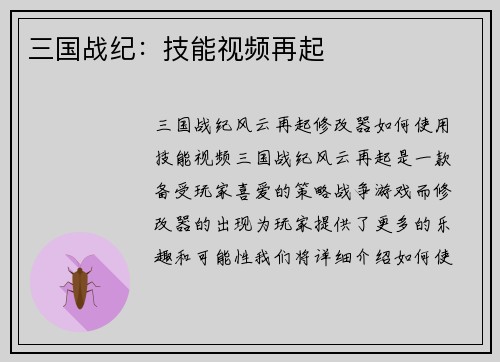 三国战纪：技能视频再起